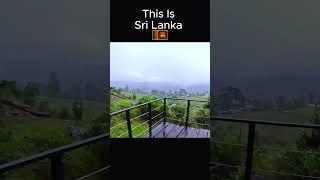 Rainy day Glamping in Sri Lanka ️ #glamping #camping #1000subscriber #sl_nature_hub