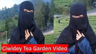 Ciwidey Tea Garden Viral Video