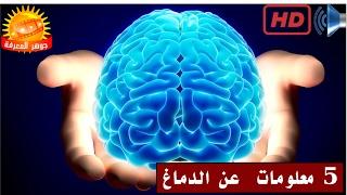 5 معلومات  عن الدماغ ، ستندهش منها