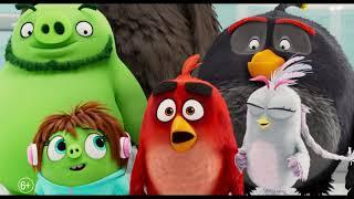 Angry Birds 2 в кино - второй трейлер