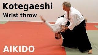 Aikido technique KOTEGAESHI against grip and strike attacks, by Stefan Stenudd