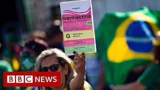 The false science around Ivermectin – BBC News