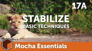 17a Stabilize Module - Basics [Mocha Essentials]