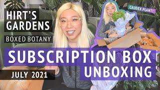 Hirt's Boxed Botany | July 2021 Houseplant Subscription Unboxing