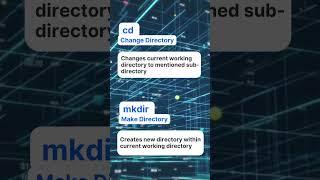 Common Shell Commands You Should Know