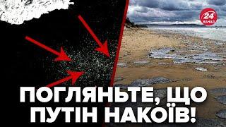 Украинцы, внимание! Черное море ПОД УГРОЗОЙ. Мазут ДВИЖЕТСЯ В СТОРОНУ Ялты. Есть спутниковые СНИМКИ