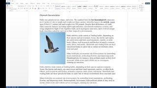 Picture format in Ms word