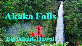 Hawaii Best Waterfalls | Akaka Falls | Big Island Hawaii