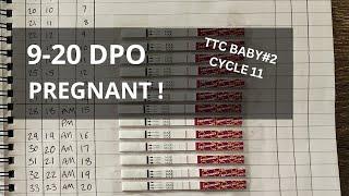 9-20 DPO | TTC #2 CYCLE 11 | POSITIVE CYCLE! (ovulation & pregnancy tests)  JessssLife