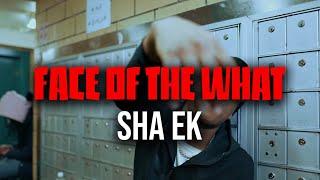 Sha Ek - Face of the what (Official instrumental) @ziggyonthekeyboardzotk6575