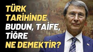 Türk Tarihinde Budun, Taife, Tiğre Ne Demektir?