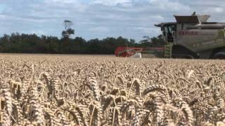 Nuffield 'Arable Farming where next' Px Farms Harvest 2011