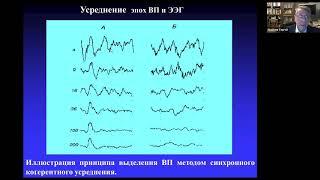 Вызванные потенциалы мозга