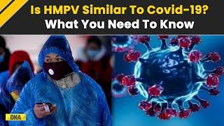 HMP Virus: How Similar Is HMPV To COVID-19? Here’s What You Need To Know About This Emerging Virus