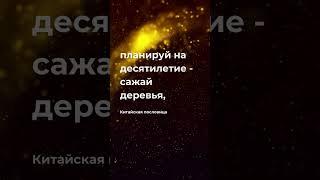 Будущее в настоящем - цитаты #будущее #futurology #настоящее #прошлое #цитаты #афоризмы #пословицы