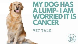 My dog has a lump. I am worried it is cancer. │ Twin Trees Vet Talk (FREE VET ADVICE PODCAST)