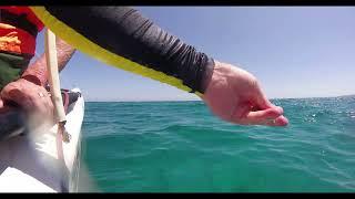 Hobie Cat Sailing at Memories Jibacoa, Cuba