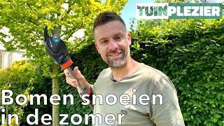 Bomen snoeien in de zomer | Snoeien | Tuinplezier