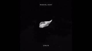 Moonlight - Swan (Techno Remix)