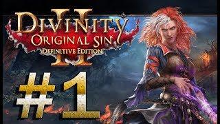 Прохождение Divinity: Original Sin 2, физическая группа, стрим часть 1 (+ полезные моды) 1080p рпг