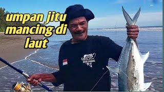 do not use eel bait for fishing in the sea