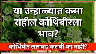 कोथिंबीर लागवड कोणत्या महिन्यात करावी | Kothimbir lagwad @Adhunikshetianiudyog