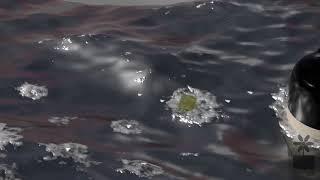 Sneak Preview - Debris After the Storm - 3D Ocean Animation (Blender + Advanced Ocean Modifier)