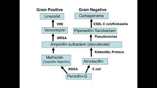 The Antibiotic Ladder Revisited: Anti-infective Therapy Part 2