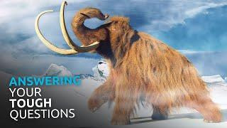 What Does the Bible Say About the ICE AGE?