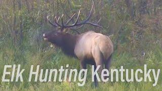 Elk Hunting Kentucky?! Eastmans’ Hunting TV