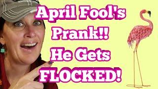 April Fool's Prank: He Got FLOCKED! | Opinionated Horsewoman