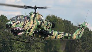 Maggie AH-1F Cobra Attack Helicopter: Amazing Demo Display