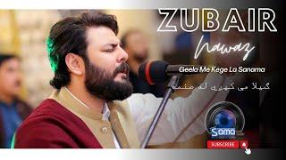 Zubair Nawaz  Geela Me Kege La Sanama #NewPshtoSong2024 #Tapaizey #music #afghansong2024