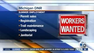 Michigan DNR Summer Jobs