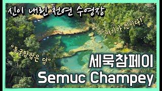 신이 내린 천연 수영장, 세묵참페이 | 여기가 찐이다! 안 가면 후회 | 동굴탐험은 덤 | Discover Semuc Champey In Guatemala