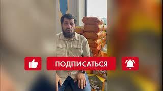 Вы хотите откармливать скот на мясо без химии? Тогда смотрите это видео до конца!  #Премиксы_Аскор