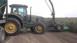 Friesen Harvesting