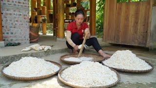 Recipe for long-term preservation of dried Cassava - Harvesting watermelons for sale on the market.