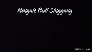 Film Dokumenter Mengais Padi Singgang