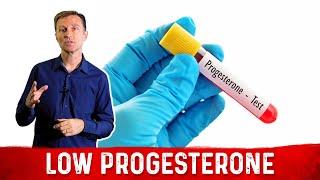 3 Best Remedy for Low Progesterone – Phytoestrogen, Sea Kelp & Progesterone Deficiency – Dr. Berg