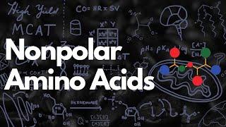 Nonpolar Amino Acids: Aliphatic and Aromatic | MCAT