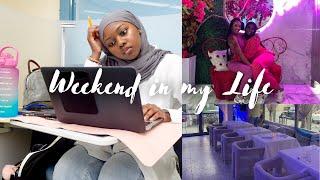 VLOG: Life as a PA Student + Weekend Festivities | Amina Bands