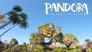 Pandora The World Of Avatar Opening Day at Disney's Animal Kingdom! (5/27/17) | BrandonBlogs