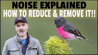 NOISE - What is it? Reduce it! Remove it! Easy To Follow Advice For Wildlife Photography