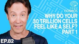 Ep 82: Why Do Your 30 Trillion Cells Feel Like a Self? Part 1 | INNER COSMOS WITH DAVID EAGLEMAN