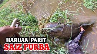 HARUAN SAIZ PURBA DARI SPOT PARIT KEBUN SAWIT | VLOG CASTING HARUAN