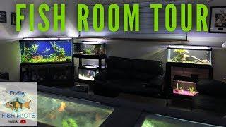 Summer FISH ROOM TOUR!!!