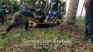 Sembelihan Korban Kalang Mehong - Raya Haji 2021