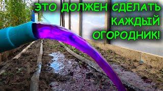 Чем и как ОБЕЗЗАРАЗИТЬ ПОЧВУ от болезней и вредителей! Покажу самый простой и эффективный способ