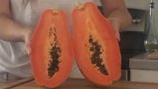 GROW A PAPAYA TREE FROM A SEED